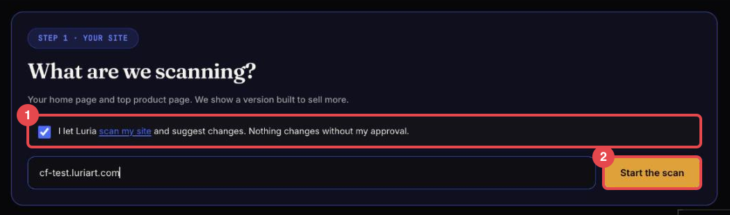 Onboarding step 1: the permission box and the site address with Start the scan